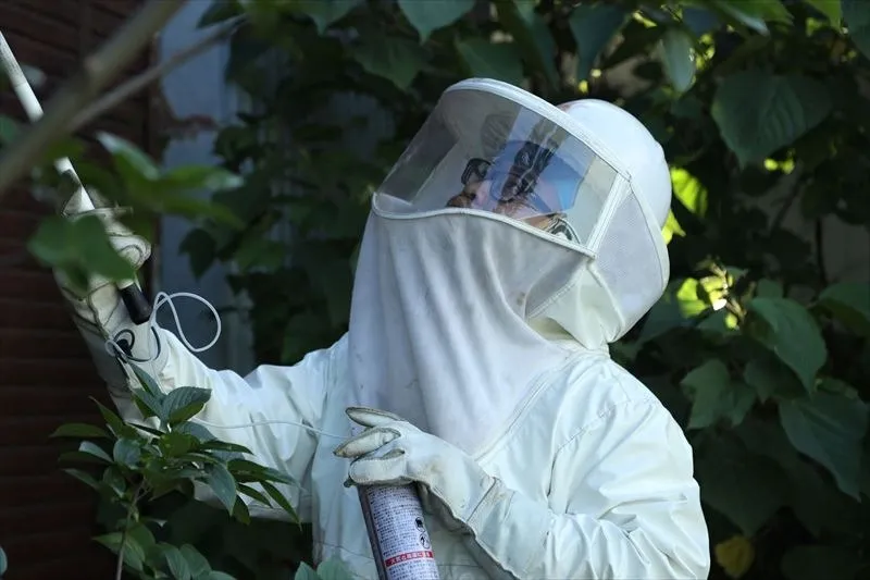 今までも長岡市で多くの蜂駆除の実績
