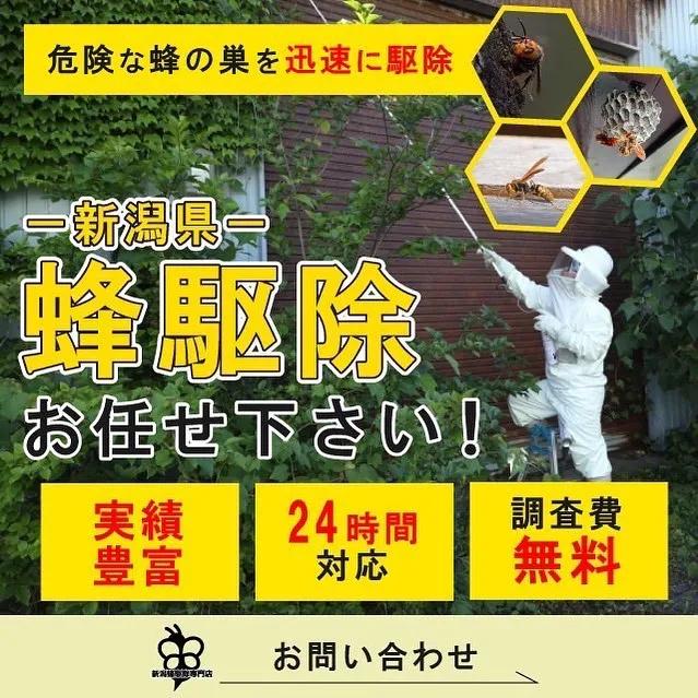 新潟市、長岡市の蜂の巣駆除は新潟蜂駆除専門店にお任せください...